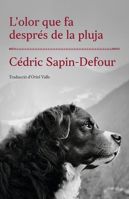 OLOR QUE FA DESPRÉS DE LA PLUJA, L' | 9788417353568 | CÉDRIC SAPIN-DEFOUR | Llibreria Drac - Librería de Olot | Comprar libros en catalán y castellano online