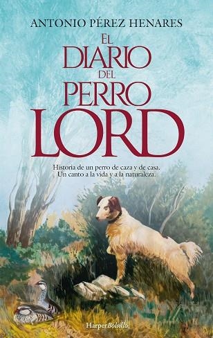 DIARIO DEL PERRO LORD, EL | 9788419809384 | PÉREZ HENARES, ANTONIO | Llibreria Drac - Llibreria d'Olot | Comprar llibres en català i castellà online