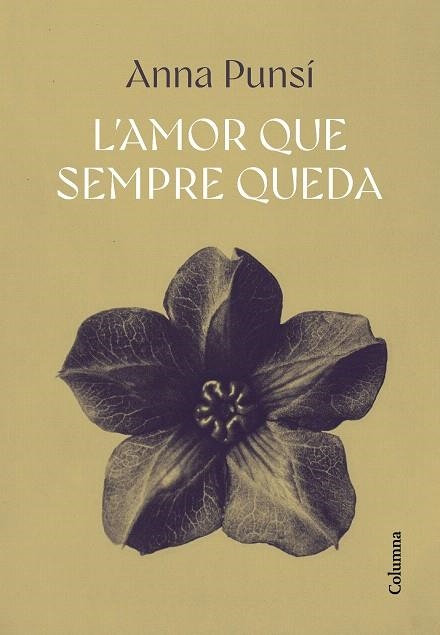 AMOR QUE SEMPRE QUEDA, L' | 9788466432382 | PUNSÍ, ANNA | Llibreria Drac - Llibreria d'Olot | Comprar llibres en català i castellà online