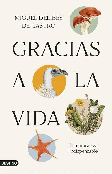 GRACIAS A LA VIDA | 9788423365821 | DELIBES, MIGUEL | Llibreria Drac - Librería de Olot | Comprar libros en catalán y castellano online