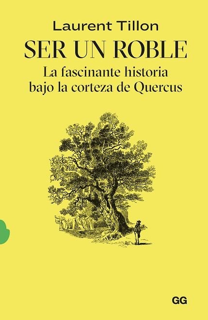 SER UN ROBLE | 9788425235054 | TILLON, LAURENT | Llibreria Drac - Librería de Olot | Comprar libros en catalán y castellano online