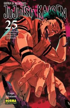 JUJUTSU KAISEN 25 | 9788467971743 | AKUTAMI, GEGE | Llibreria Drac - Llibreria d'Olot | Comprar llibres en català i castellà online