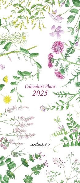 CALENDARI FLORA 2025 | 9788418900808 | VILALDAMA, PERE | Llibreria Drac - Llibreria d'Olot | Comprar llibres en català i castellà online