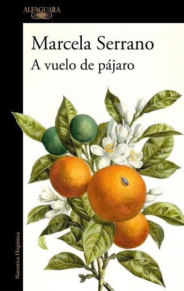 A VUELO DE PÁJARO | 9788420477978 | SERRANO, MARCELA | Llibreria Drac - Llibreria d'Olot | Comprar llibres en català i castellà online