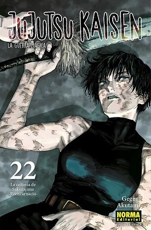 JUJUTSU KAISEN 22 CATALA | 9788467969948 | AKUTAMI, GEGE | Llibreria Drac - Llibreria d'Olot | Comprar llibres en català i castellà online