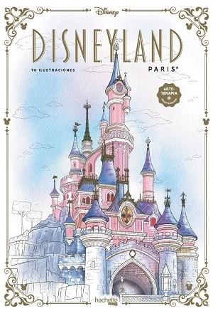 DISNEYLAND PARÍS | 9788419804396 | AA.DD. | Llibreria Drac - Librería de Olot | Comprar libros en catalán y castellano online