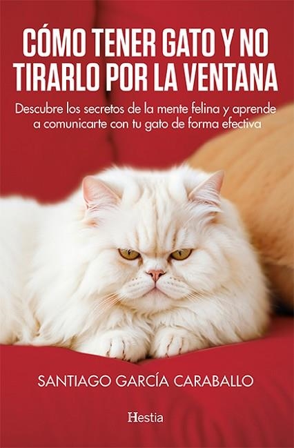 CÓMO TENER GATO Y NO TIRARLO POR LA VENTANA | 9788412864748 | GARCÍA, SANTIAGO | Llibreria Drac - Librería de Olot | Comprar libros en catalán y castellano online