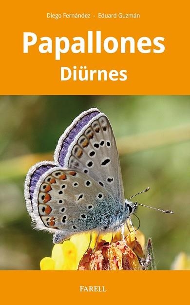 PAPALLONES DIÜRNES DE CATALUNYA | 9788417116934 | FERNÁNDEZ, DIEGO; GUZMÁN, EDUARD | Llibreria Drac - Librería de Olot | Comprar libros en catalán y castellano online