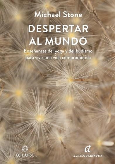 DESPERTAR AL MUNDO | 9788419741141 | STONE, MICHAEL | Llibreria Drac - Librería de Olot | Comprar libros en catalán y castellano online