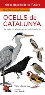 OCELLS DE CATALUNYA | 9788419624864 | HERNANDEZ, VICTOR J. | Llibreria Drac - Librería de Olot | Comprar libros en catalán y castellano online