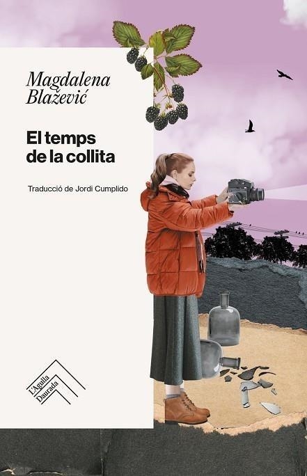 TEMPS DE LA COLLITA, EL | 9788419515223 | BLAZEVIC, MAGDALENA | Llibreria Drac - Llibreria d'Olot | Comprar llibres en català i castellà online