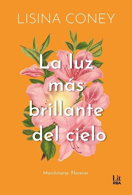 LUZ MÁS BRILLANTE DEL CIELO, LA | 9788411329323 | CONEY, LISINA | Llibreria Drac - Llibreria d'Olot | Comprar llibres en català i castellà online