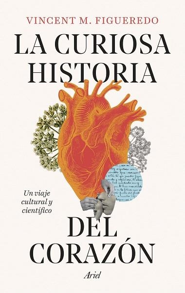 CURIOSA HISTORIA DEL CORAZÓN, LA | 9788434438392 | FIGUEREDO, VINCENT M. | Llibreria Drac - Llibreria d'Olot | Comprar llibres en català i castellà online