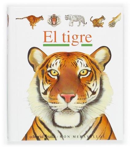 TIGRE, EL | 9788466106184 | Llibreria Drac - Llibreria d'Olot | Comprar llibres en català i castellà online