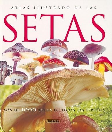 ATLAS ILUSTRADO DE LAS SETAS | 9788430547210 | Llibreria Drac - Llibreria d'Olot | Comprar llibres en català i castellà online